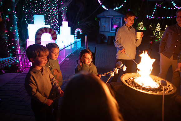 20260102_sara_kauss_photography_9453_HR