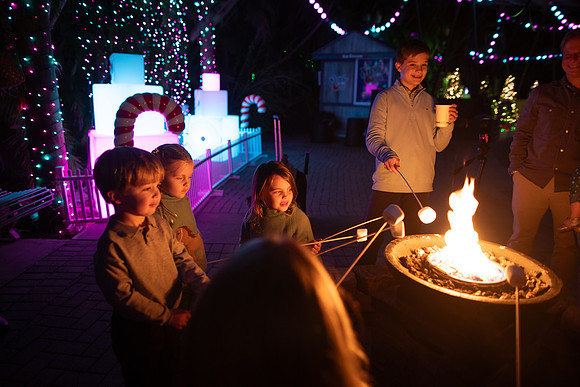 20260102_sara_kauss_photography_9454_HR