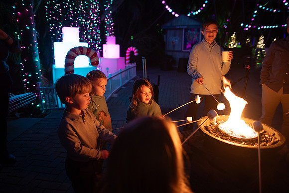 20260102_sara_kauss_photography_9455_HR