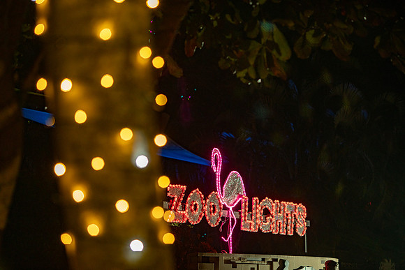 20260103_sara_kauss_photography_2057_HR