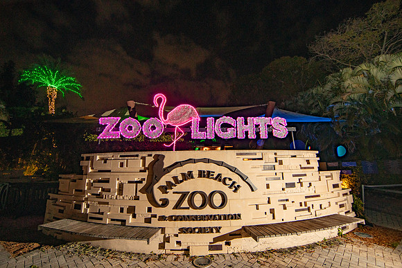 20260103_sara_kauss_photography_2058_HR