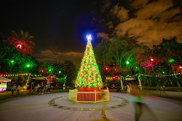 20260103_sara_kauss_photography_2084_HR