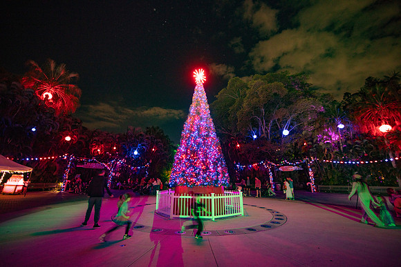 20260103_sara_kauss_photography_2091_HR