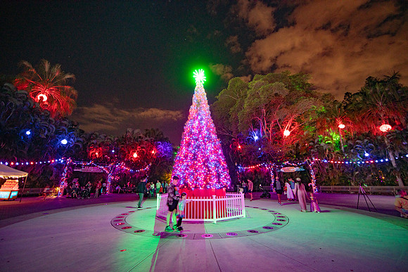 20260103_sara_kauss_photography_2095_HR