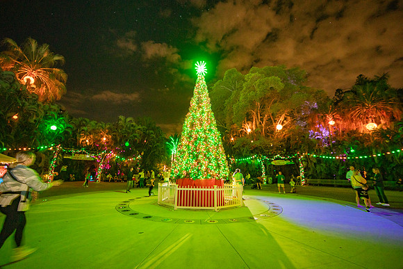 20260103_sara_kauss_photography_2116_HR