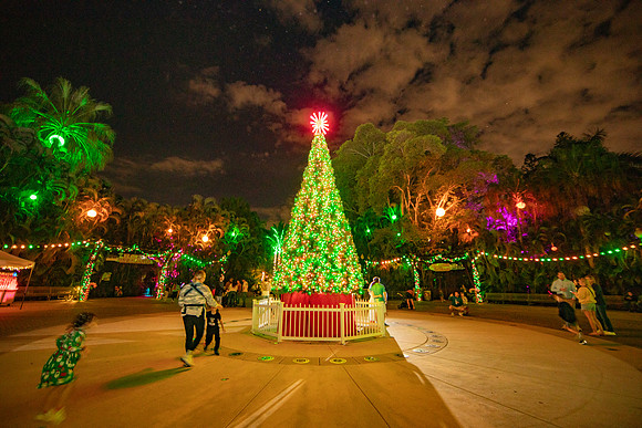 20260103_sara_kauss_photography_2118_HR
