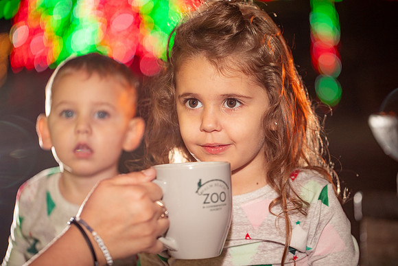 20260103_sara_kauss_photography_2135_HR