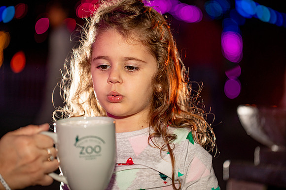 20260103_sara_kauss_photography_2146_HR