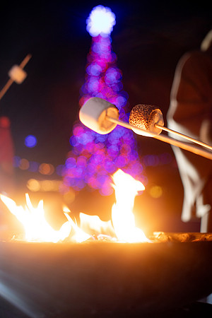 20260103_sara_kauss_photography_2289_HR