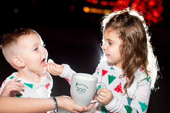 20260103_sara_kauss_photography_2367_HR