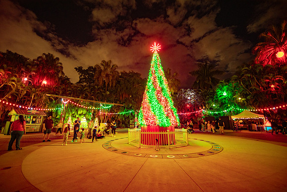 20260103_sara_kauss_photography_2440_HR
