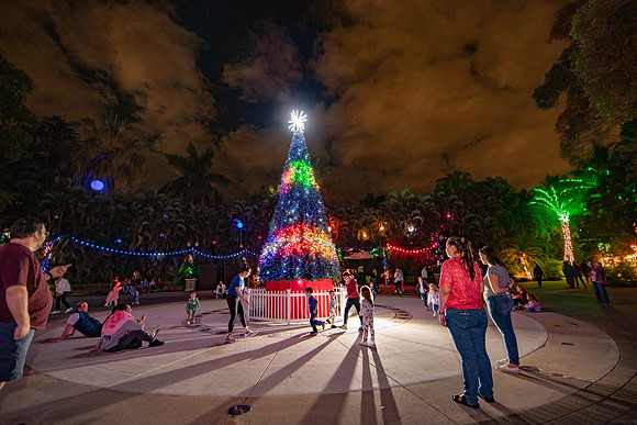 20260103_sara_kauss_photography_2415_HR