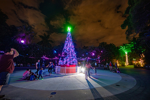 20260103_sara_kauss_photography_2429_HR