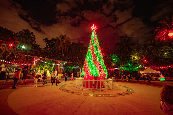 20260103_sara_kauss_photography_2442_HR
