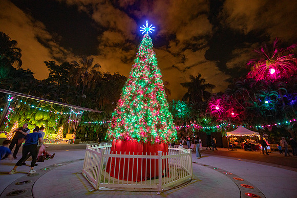 20260103_sara_kauss_photography_2452_HR