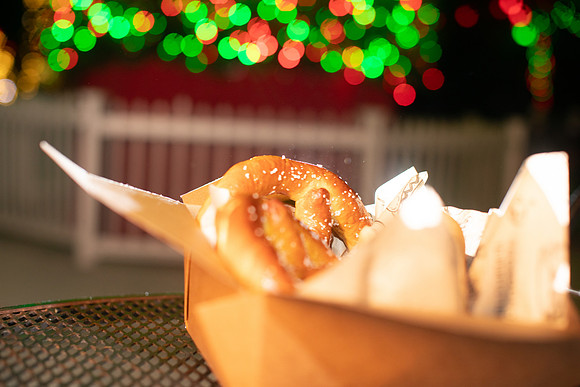20260103_sara_kauss_photography_2491_HR