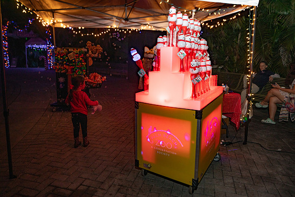 20260103_sara_kauss_photography_2715_HR