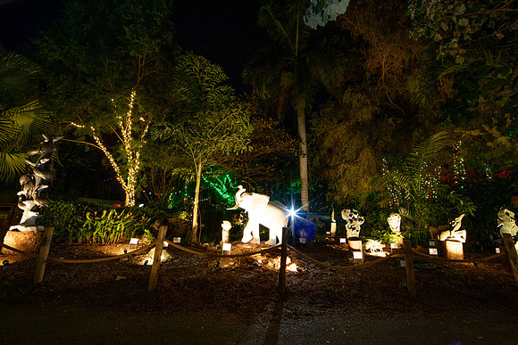 20260103_sara_kauss_photography_2892_HR