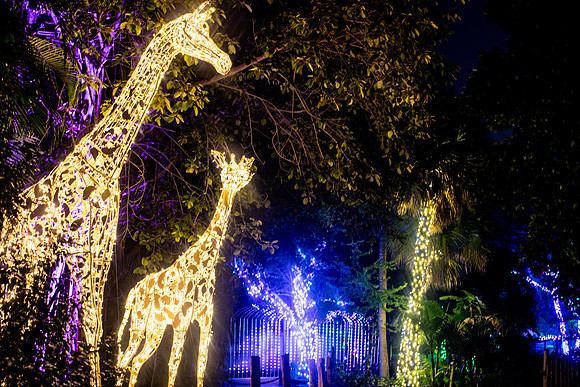 20260103_sara_kauss_photography_2931_HR