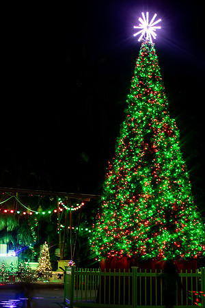 20260103_sara_kauss_photography_2939_HR