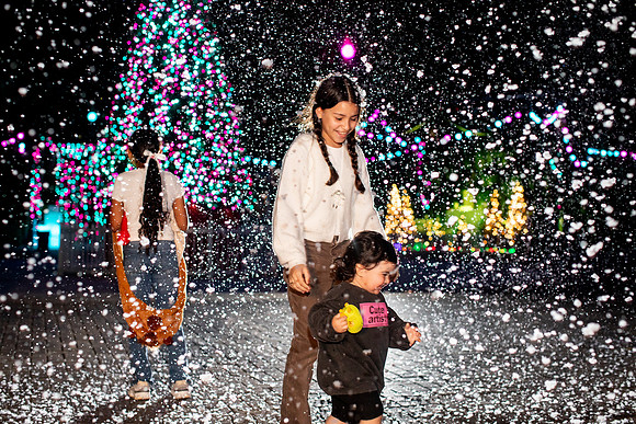 20260103_sara_kauss_photography_3007_HR