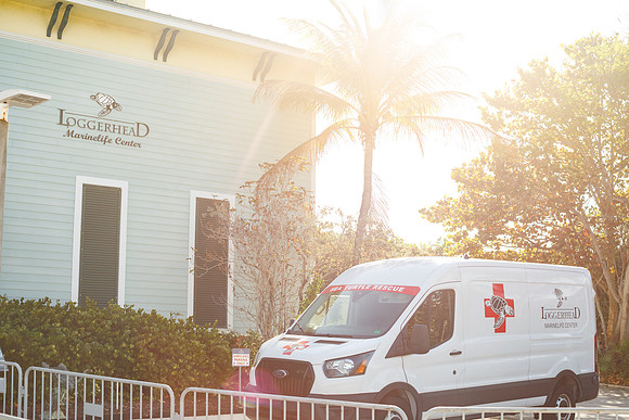 20260221_SaraKaussPhotography_7828_HR
