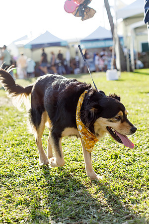 20260221_SaraKaussPhotography_1821_LR