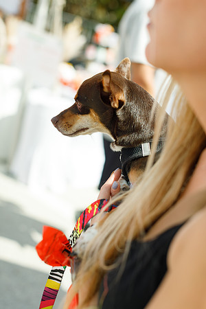 20260221_SaraKaussPhotography_9011_LR