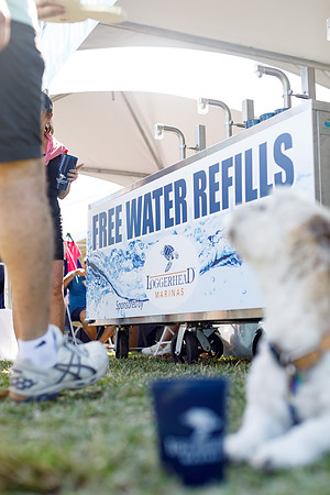 20260221_SaraKaussPhotography_TurtleFest_0035_LR