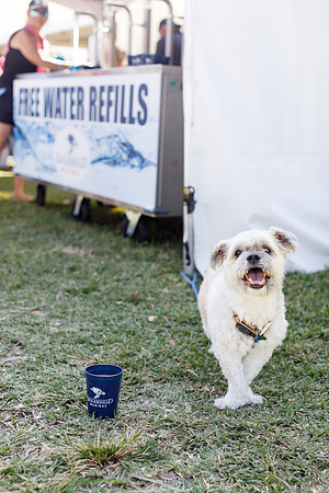 20260221_SaraKaussPhotography_TurtleFest_0061_LR