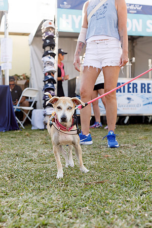 20260221_SaraKaussPhotography_TurtleFest_1710_LR