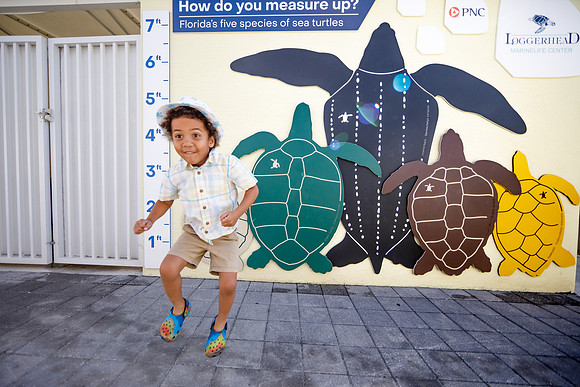 20260221_SaraKaussPhotography_TurtleFest_8334_LR