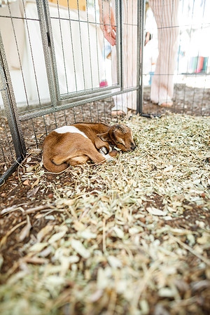 20260222_SaraKaussPhotography_3539_LR