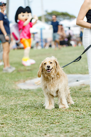20260222_SaraKaussPhotography_5548_LR