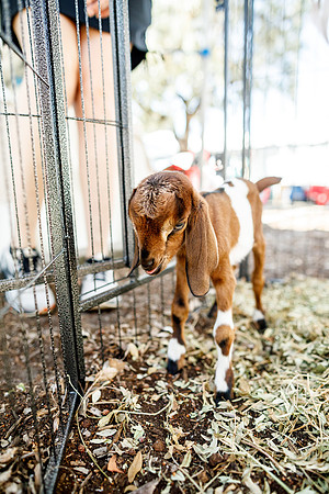 20260222_SaraKaussPhotography_3578_LR