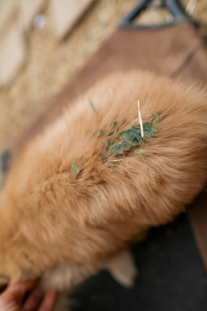 20260225_SaraKaussPhotography_6641