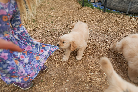 20260225_SaraKaussPhotography_6572