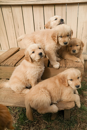 20260225_SaraKaussPhotography_6361