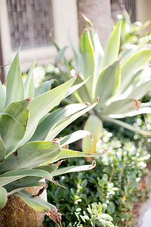 0001-sara-kauss-photography-8627