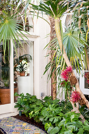 0007-sara-kauss-photography-8637