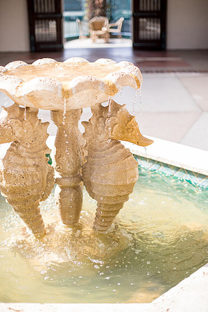 0008-sara-kauss-photography-8643