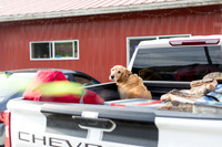 sara_kauss_photography_3795