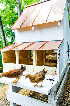 sara_kauss_photography_0103