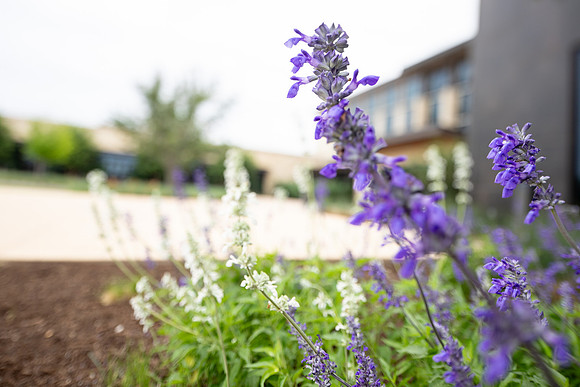 20260430_sarakaussphotography_4375_LR