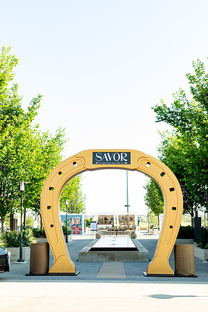 20260502_sarakaussphotography_0239_LR