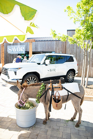 20260503_sarakaussphotography_0168_HR-2