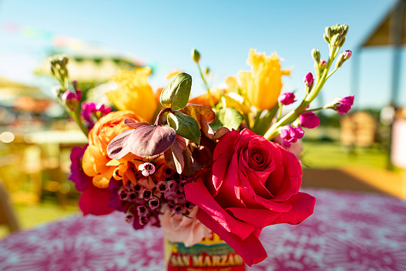 20260503_sarakaussphotography_0002_HR