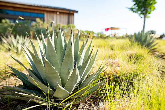 20260503_sarakaussphotography_0008_LR