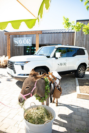 20260503_sarakaussphotography_0177_LR