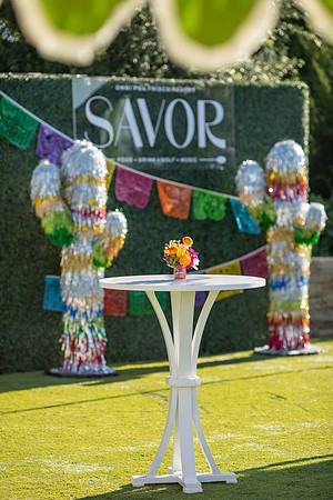 20260503_sarakaussphotography_0081_LR